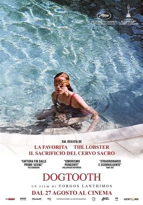 dogtooth streaming community|Dogtooth (2009): Where to Watch and Stream Online